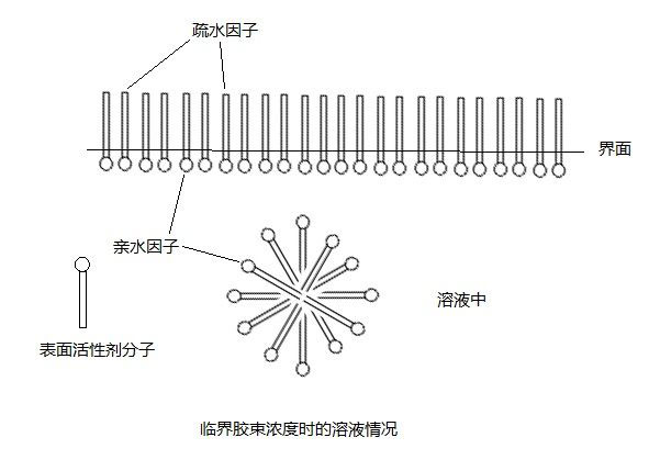 图为表面活性剂分子图