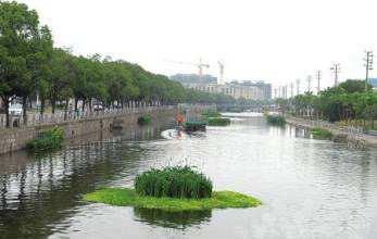 图为河道生物水处理场景