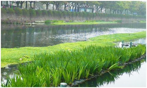 图为生物水处理场景