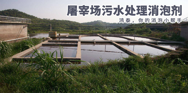 屠宰场污水处理消泡剂主题解说