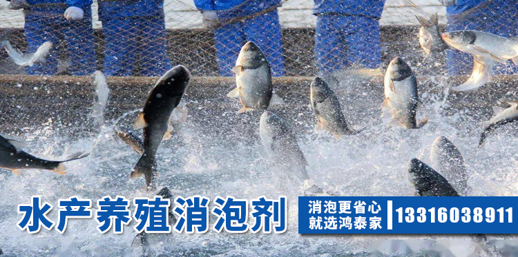 水产养殖消泡剂主题解说
