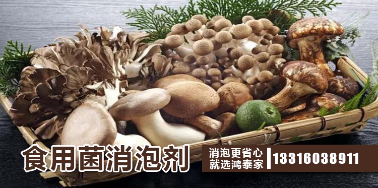 食用菌消泡剂主题解说