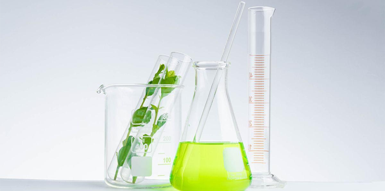 生物发酵消泡剂